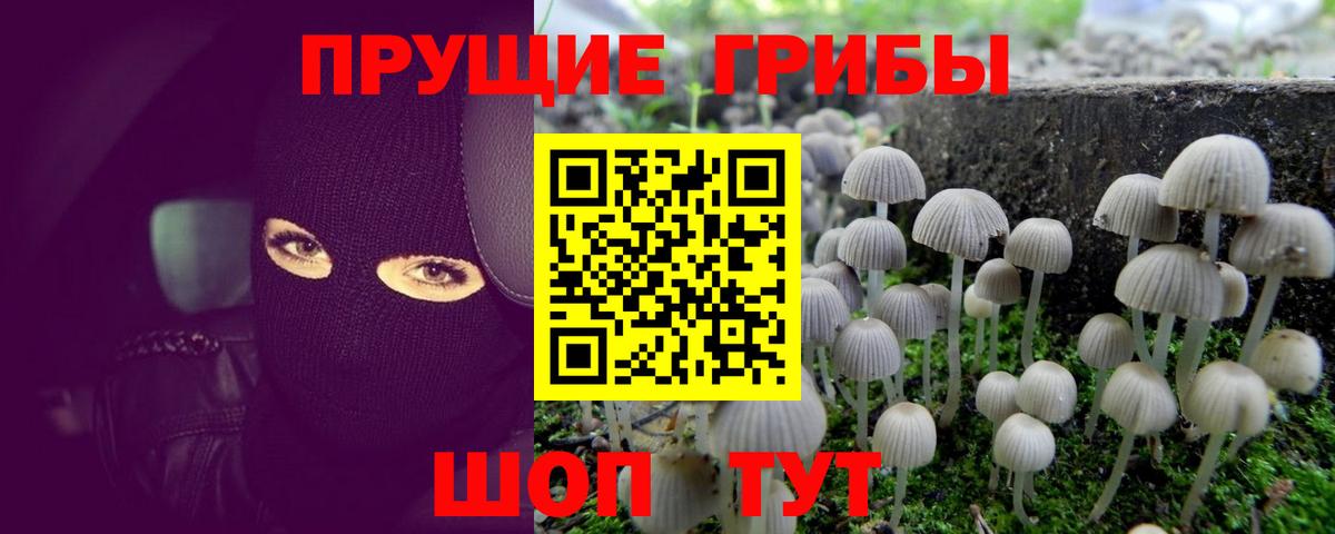 Галлюциногенные грибы Magic Shrooms Новошахтинск